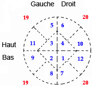 organisation des nombres 1 à 12