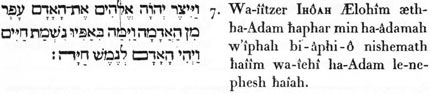 7. Et-il-forma (substantialisa, en déterminant les élémens vers un but) IHÔAH, Lui-l’Ètre-des-êtres, l’ipséité d Adam (l’homme universel) en-raréfiant (sublimant le principe) de-l’élément-adamique ; et-il-inspira dans-la-faculté-inspirante-à-lui un-étant-élevé (une essenlialité) des-vies; afin-qu’il-fût cet-homme-universel (Adam) selon-l’àme-vivante.