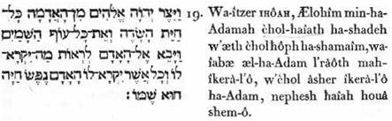 19. Et-il-avait-formé (en coordonnant les éléments vers un but) IHÔAH, l'Être-des-étres du-sein-de- l’adamique, (élément homogène) toute-vie de la-nature-terrestre et- toute-espèce-de volatile des-cieux ; et-il-fit-vemr vers -Adam, pour­voir quel il-assignerait-nom-à-cela (selon lui) : et-tout ce-qu’il-assigna- nom-à-cela (selon lui), Adam, (l’homme universel) ame-de-vie ce-fut-le-nom-sien-de-lui.