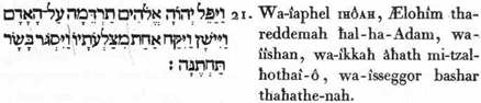 21. Et-il-laissa-tomber IHÖAH, Lui-les-Dieux, un-sommeil-sympathique, (mystérieux et profond) sur-Adam (l’homme universel) qui-dormit : et-il-rompit de-l’unité-une-des-enveloppes-siennes (extérieures) et-il-couvrit-avec-soin (il colora) forme-et-beauté-corporelle la-faiblesse (l’infériorité)-à-elle.