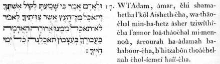 17. Et-à-Adam (l’iiomnieuniversel), ildit : puisque tu-as-écouté à-la- voix de l'épouse intellectuelle-à-toi (ta faculté volitive) et-que-tu-t’es-ali-menté de-cctte-substance, laquelle j’avais-fortement-recommandé-à- toi, selon-ce-dire : non-pas-tu-t’alimenteras de-quoi--d’elle : maudite ! soil-la-terre-adamique (homogène et similaire à toi) dans-le-rapport- tien : en-travail-angoisseux tu-t’alimenteras-d’elle tous-les-jours (les manifestations phénoméniqucs ) des-vies-à-toi.