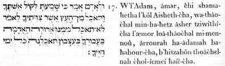 17. Et-à-Adam (l’iiomnieuniversel), ildit : puisque tu-as-écouté à-la- voix de l'épouse intellectuelle-à-toi (ta faculté volitive) et-que-tu-t’es-ali-menté de-cctte-substance, laquelle j’avais-fortement-recommandé-à- toi, selon-ce-dire : non-pas-tu-t’alimenteras de-quoi--d’elle : maudite ! soil-la-terre-adamique (homogène et similaire à toi) dans-le-rapport- tien : en-travail-angoisseux tu-t’alimenteras-d’elle tous-les-jours (les manifestations phénoméniqucs ) des-vies-à-toi.