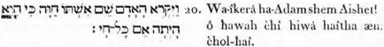 20. Et-il-assigna, Adam nom à-l'épouse-intellectuelle-sienne (sa faculté volitive) Hewah (existence élémentaire) à-cause-qu’elle-était la-mère de-toule-existence. 