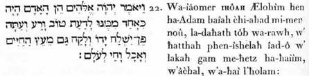 22.. Et-il-dit, IHÔAH , Lui-les-Dieux, « voici! Adam étant tel-qu’un de- l’espèce-à-nous, selon la-connaissance du-bien et-du-mal » : et-à- ce- temps, de-peur-qu’il-étendra la-main-sienne el-prendra aussi de la-substance-élémentaire des-vies, et-qu’il-s’alimentera et-vivra selon- la-période-infinie (l’éternité):