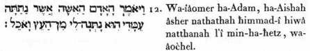 12. Et-il-dit Adam (l’homme universel): Aishah (la faculté volitive ) que-tu-donnas-compagne-à- moi, elle-est-celle-qui a-donné à- moi de-cette-substance-physique ; et-je-m’en-suis-alimenté. 