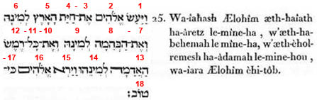 genèse, chapitre 1, verset 25